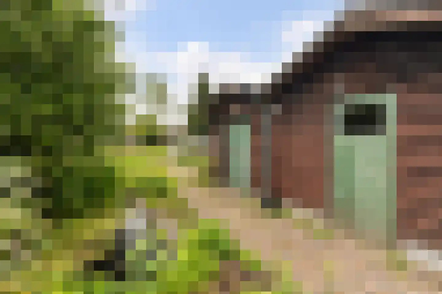 Schooldwarsweg 31 Austerlitz thumbnail 55