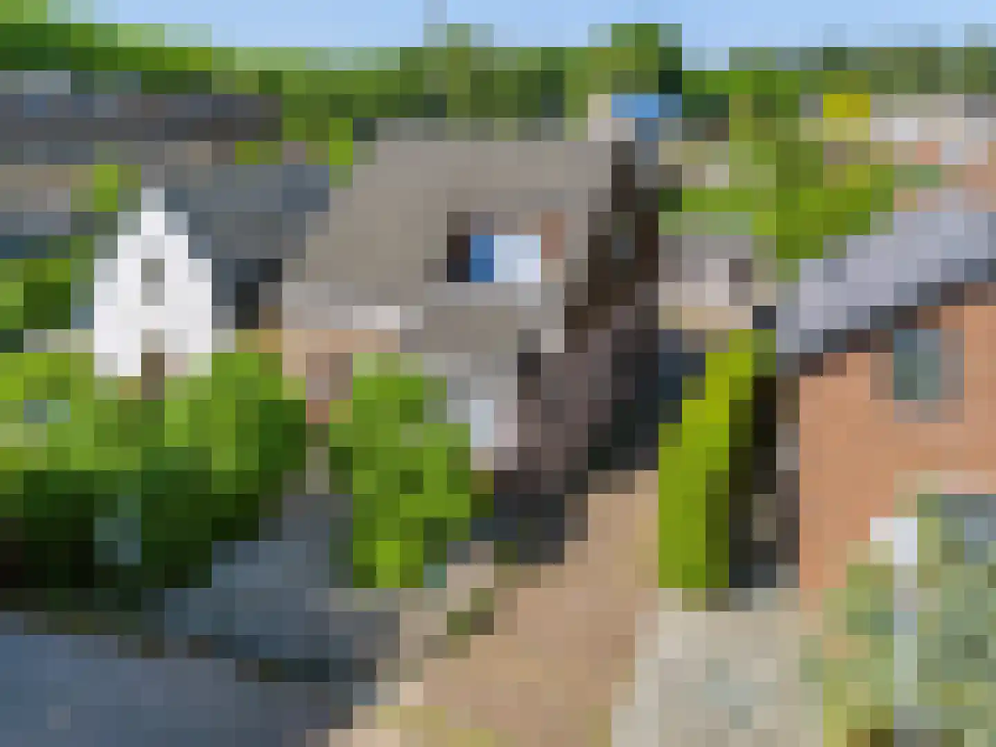 Schooldwarsweg 31 Austerlitz thumbnail 7