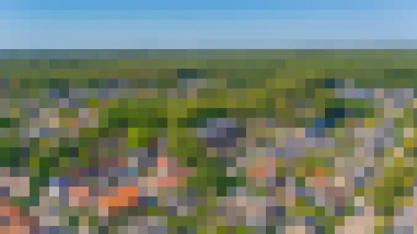 Schooldwarsweg 32 Austerlitz thumbnail 31