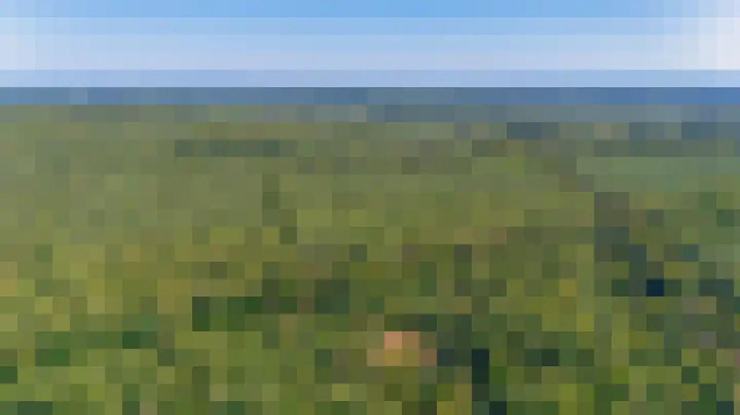 Schooldwarsweg 32 Austerlitz thumbnail 33