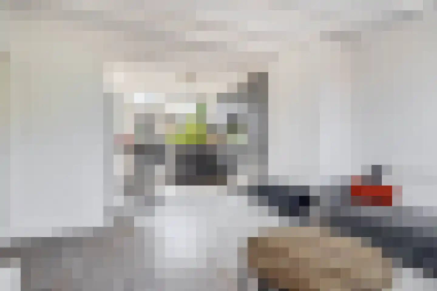 Schooldwarsweg 32 Austerlitz thumbnail 7