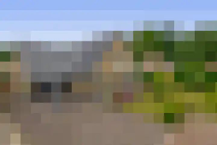 Schoolerve 13 in Darp