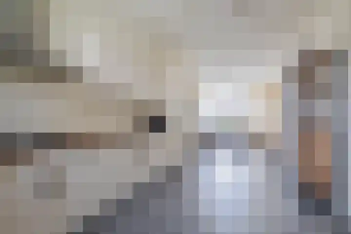 Schoolerve 25 Darp thumbnail 10