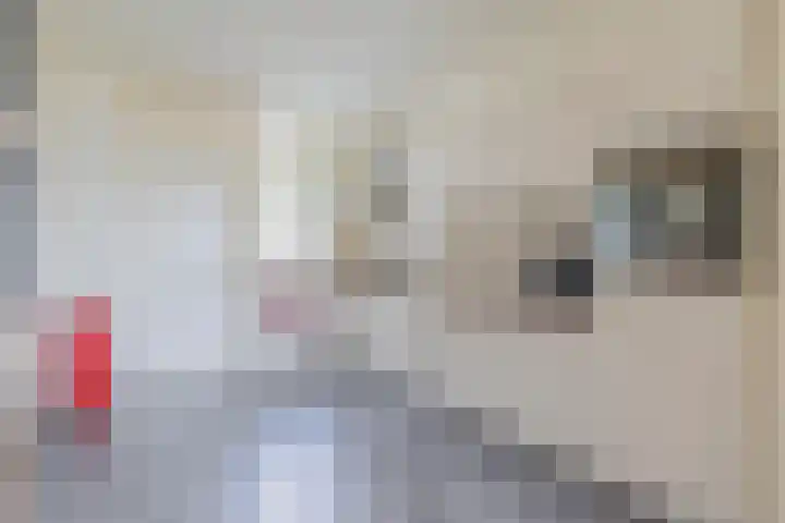 Schoolerve 25 Darp thumbnail 12