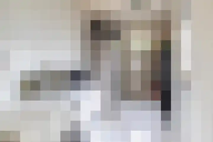 Schoolerve 25 Darp thumbnail 13
