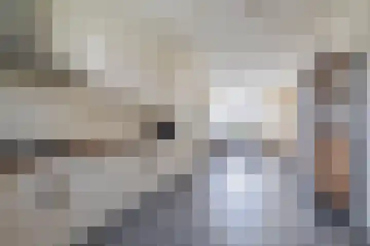 Schoolerve 25 Darp foto 2