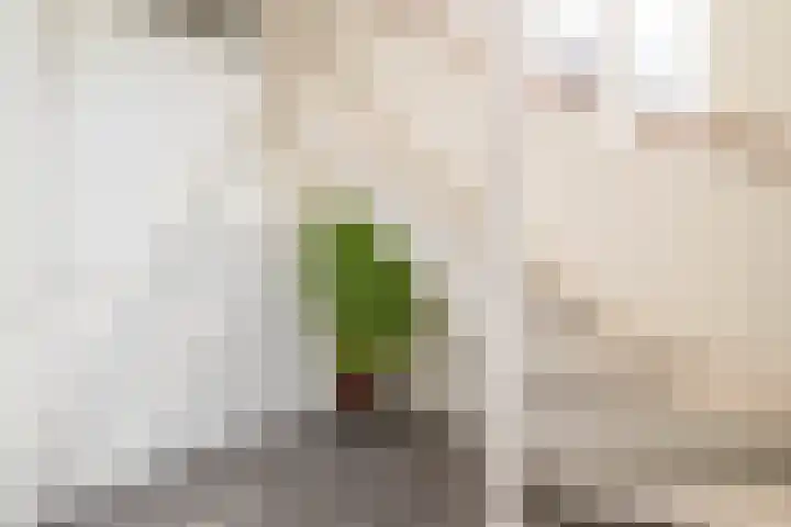 Schoolerve 25 Darp thumbnail 25