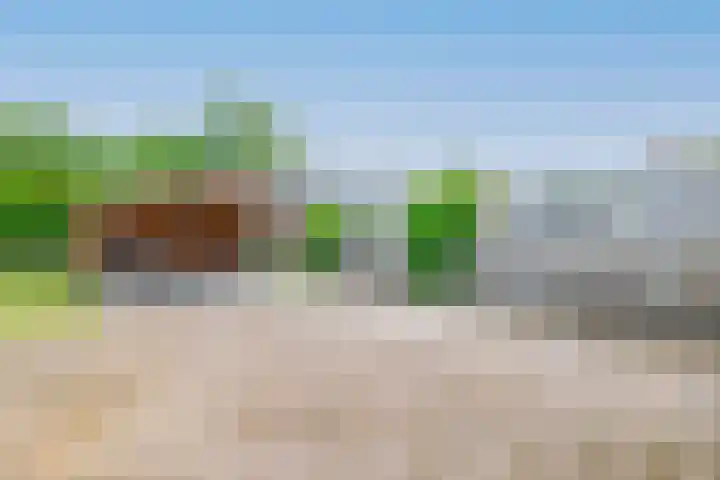 Schoolerve 25 Darp thumbnail 37