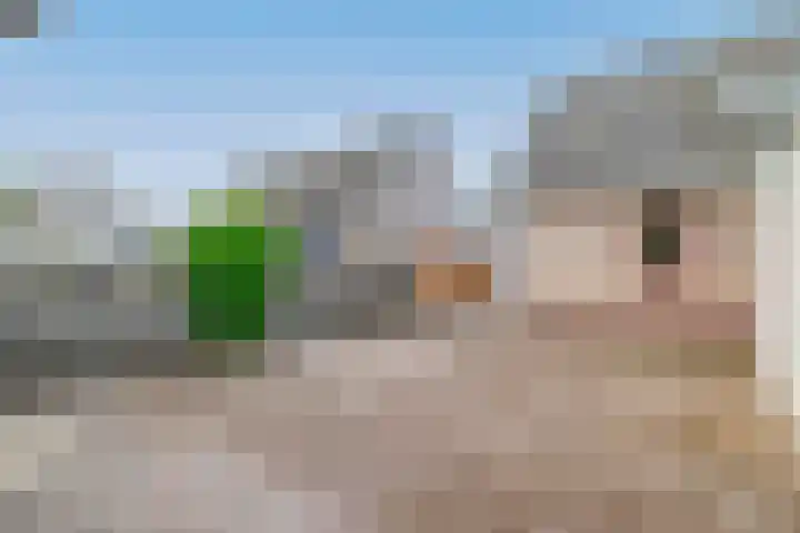 Schoolerve 25 Darp thumbnail 38