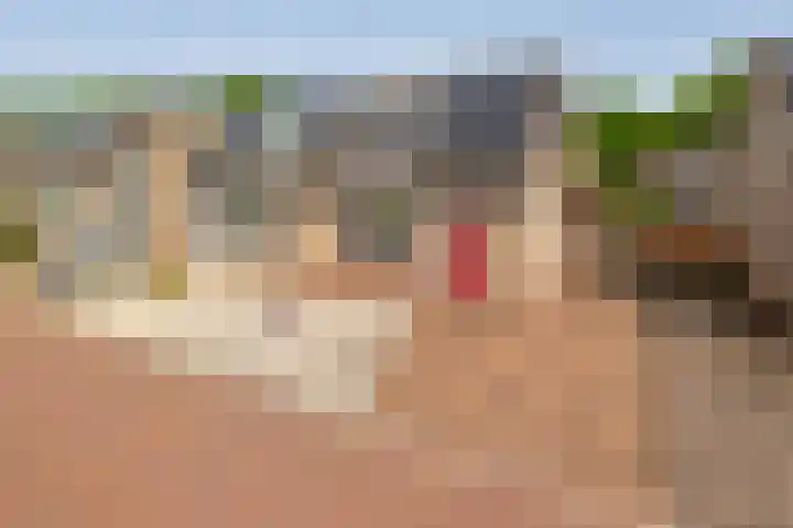 Schoolerve 25 Darp thumbnail 40
