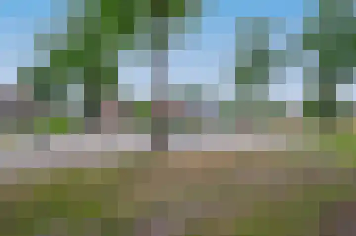 Schoolerve 25 Darp thumbnail 44