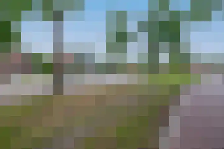 Schoolerve 25 Darp thumbnail 45