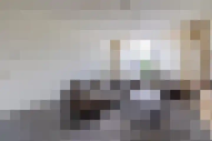 Schoolerve 25 Darp thumbnail 8
