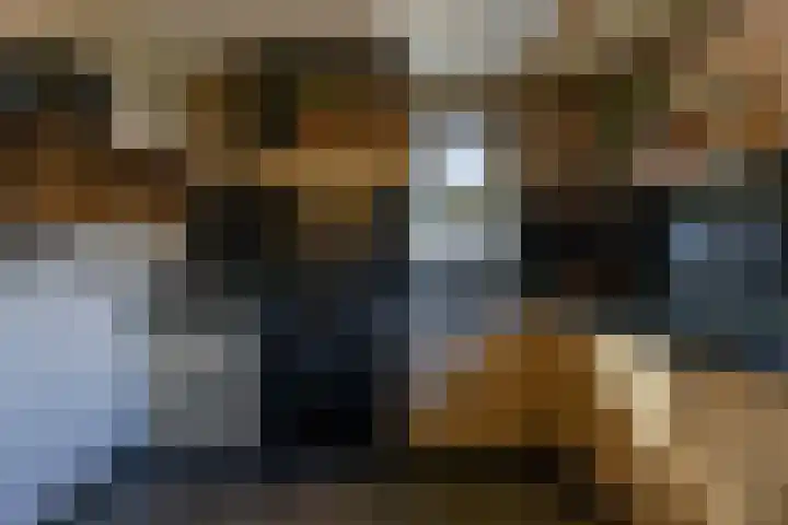 Schoolhof 24 Eelde thumbnail 14