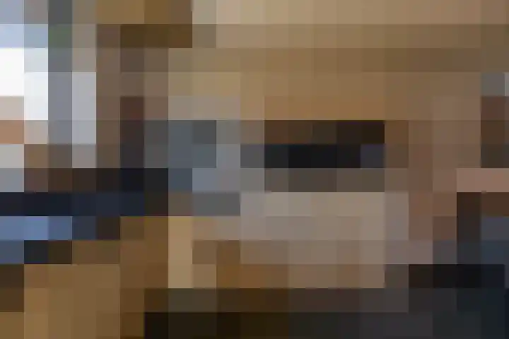 Schoolhof 24 Eelde thumbnail 15