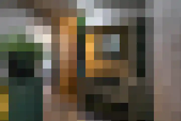 Schoolhof 24 Eelde thumbnail 20