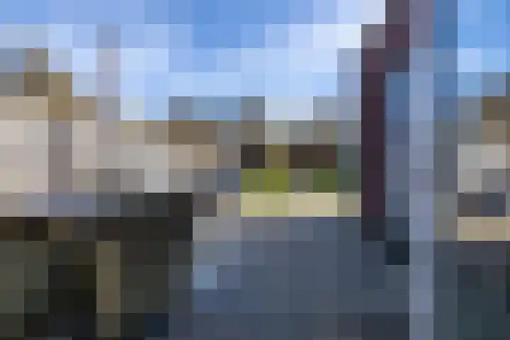 Schoolhof 24 Eelde thumbnail 27