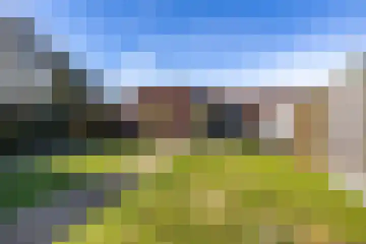 Schoolhof 24 Eelde thumbnail 31
