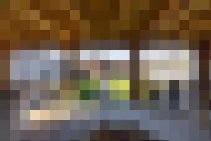 Schoolhof 24 Eelde thumbnail 34
