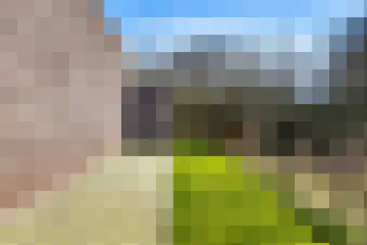 Schoolhof 24 Eelde thumbnail 35