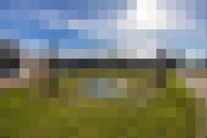 Schoolhof 24 Eelde thumbnail 36