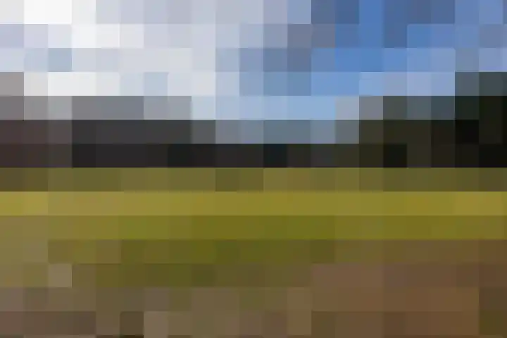 Schoolhof 24 Eelde thumbnail 37