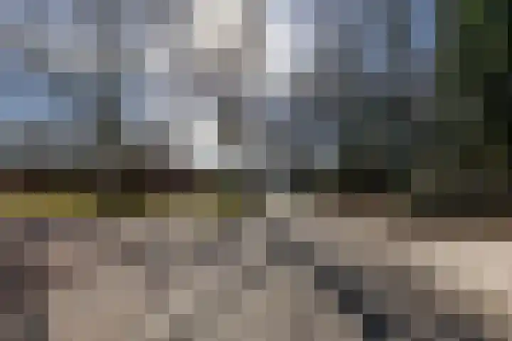 Schoolhof 24 Eelde thumbnail 38