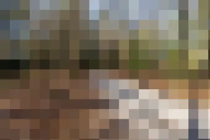 Schoolhof 24 Eelde thumbnail 39