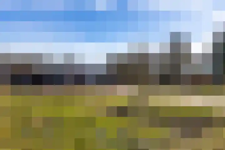 Schoolhof 24 Eelde thumbnail 5