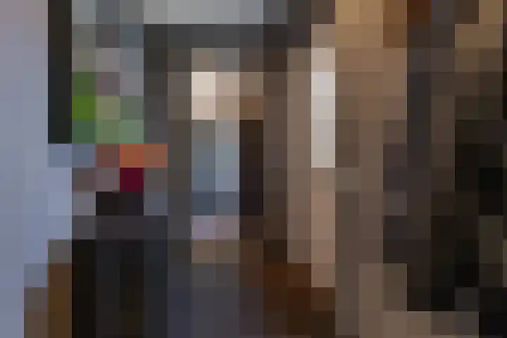 Schoolhof 24 Eelde thumbnail 9