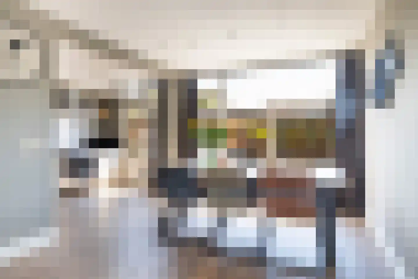 Schoolhof 8 Benschop thumbnail 15
