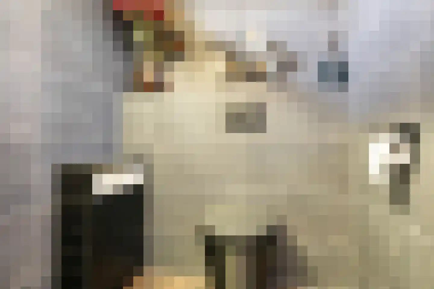 Schoolhof 8 Benschop thumbnail 29