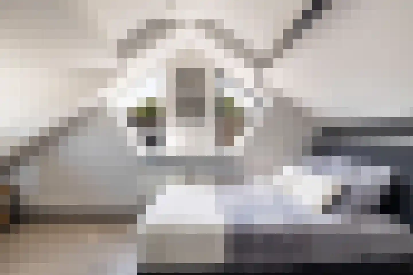 Schoolhof 8 Benschop thumbnail 36