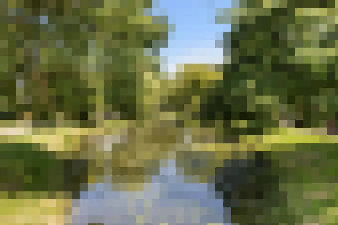 Schoolhof 8 Benschop thumbnail 43