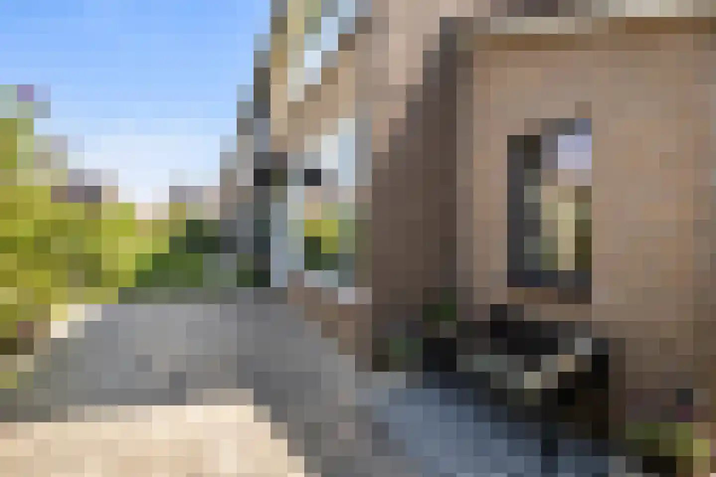 Schoolhof 8 Benschop thumbnail 8