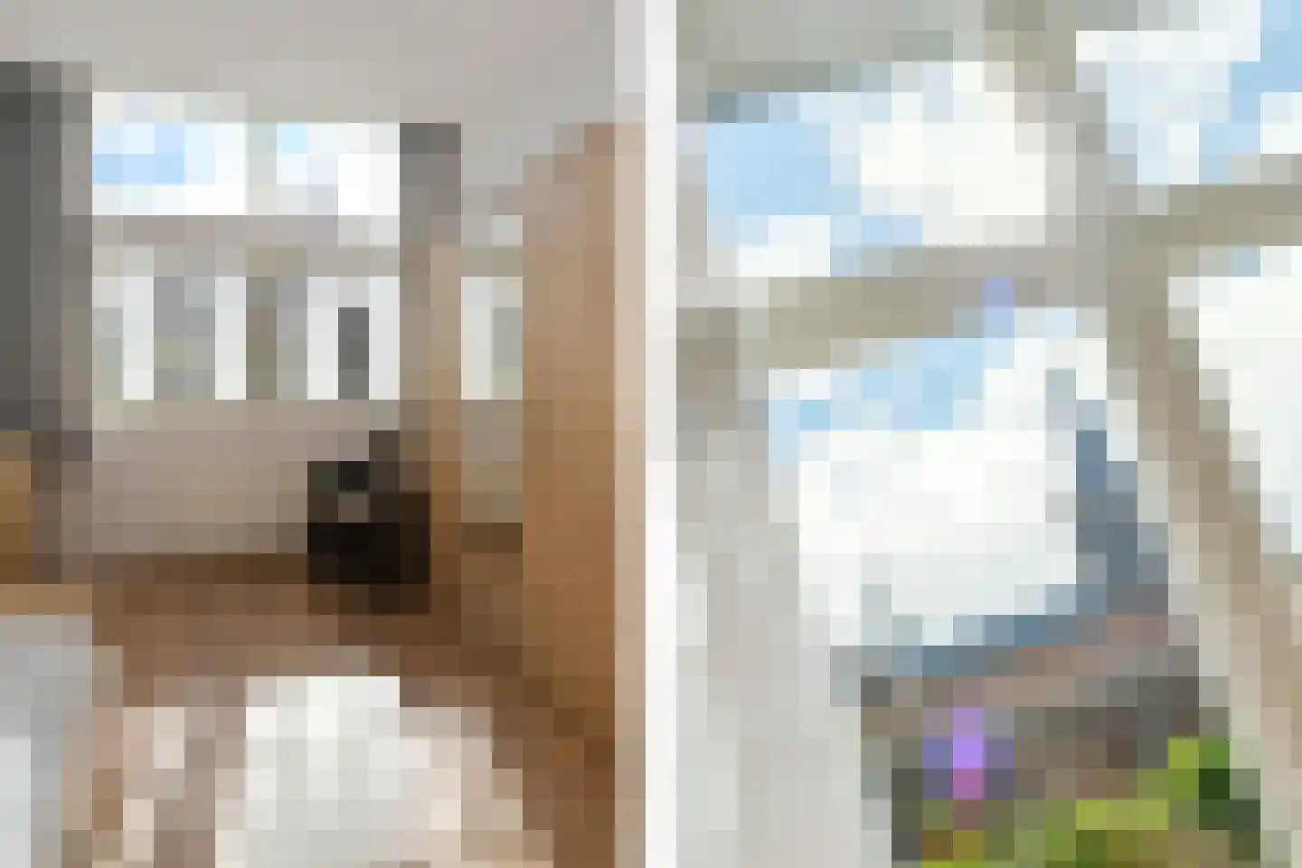 Schoolhofje 5 Neer thumbnail 13