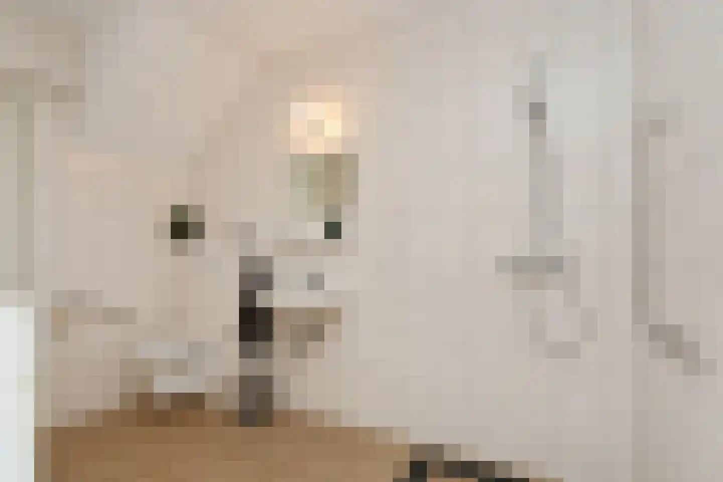 Schoolhofje 5 Neer thumbnail 14