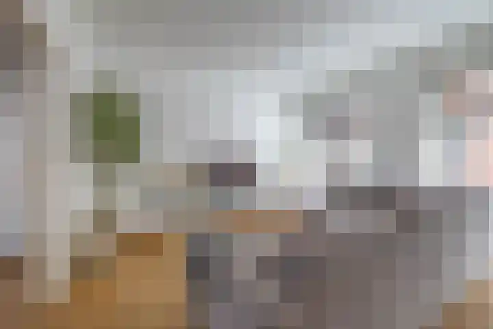 Schoolholm 2 a Groningen thumbnail 12