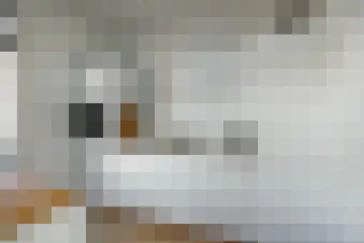 Schoolholm 2 a Groningen thumbnail 20