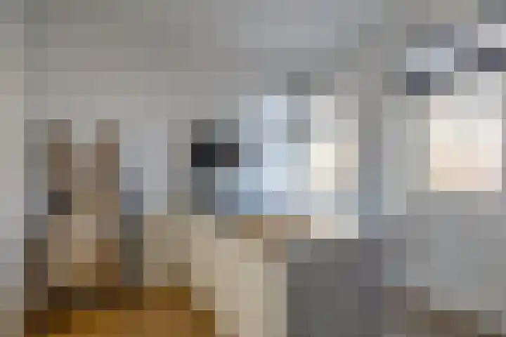 Schoolholm 2 a Groningen thumbnail 22