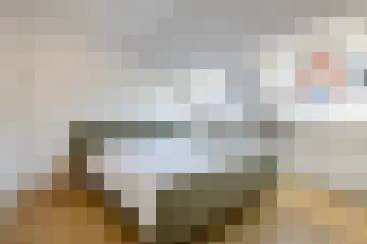 Schoolholm 2 a Groningen thumbnail 34