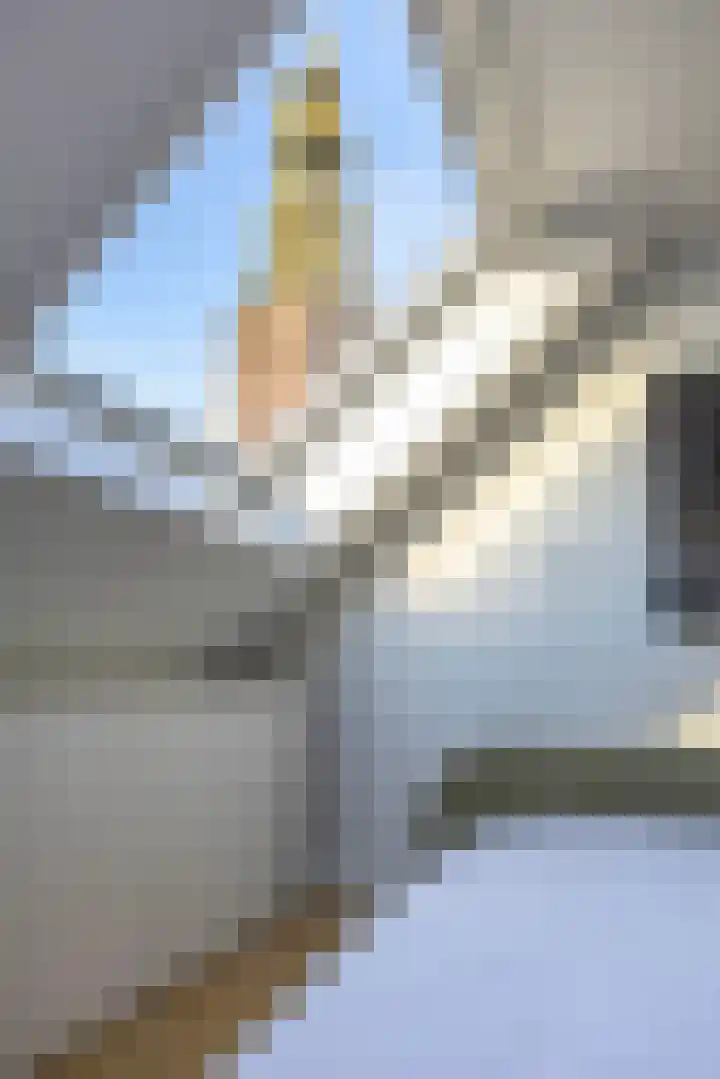 Schoolholm 2 a Groningen thumbnail 37