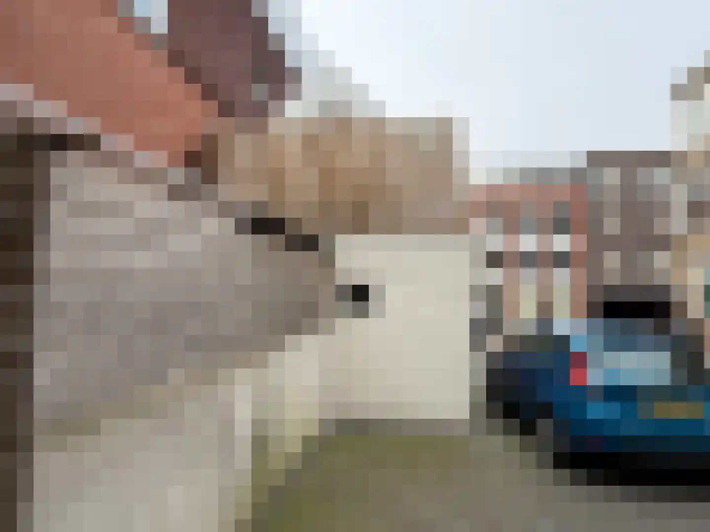 Schoolholm 30 Groningen thumbnail 19