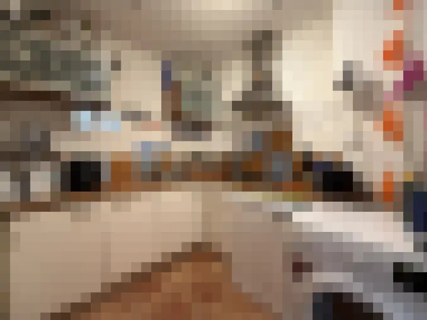 Schoolholm 30 Groningen thumbnail 6