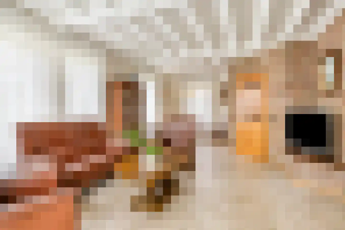 Schoolhuisweg 10 Veghel thumbnail 13