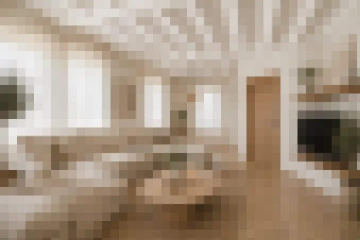 Schoolhuisweg 10 Veghel thumbnail 14