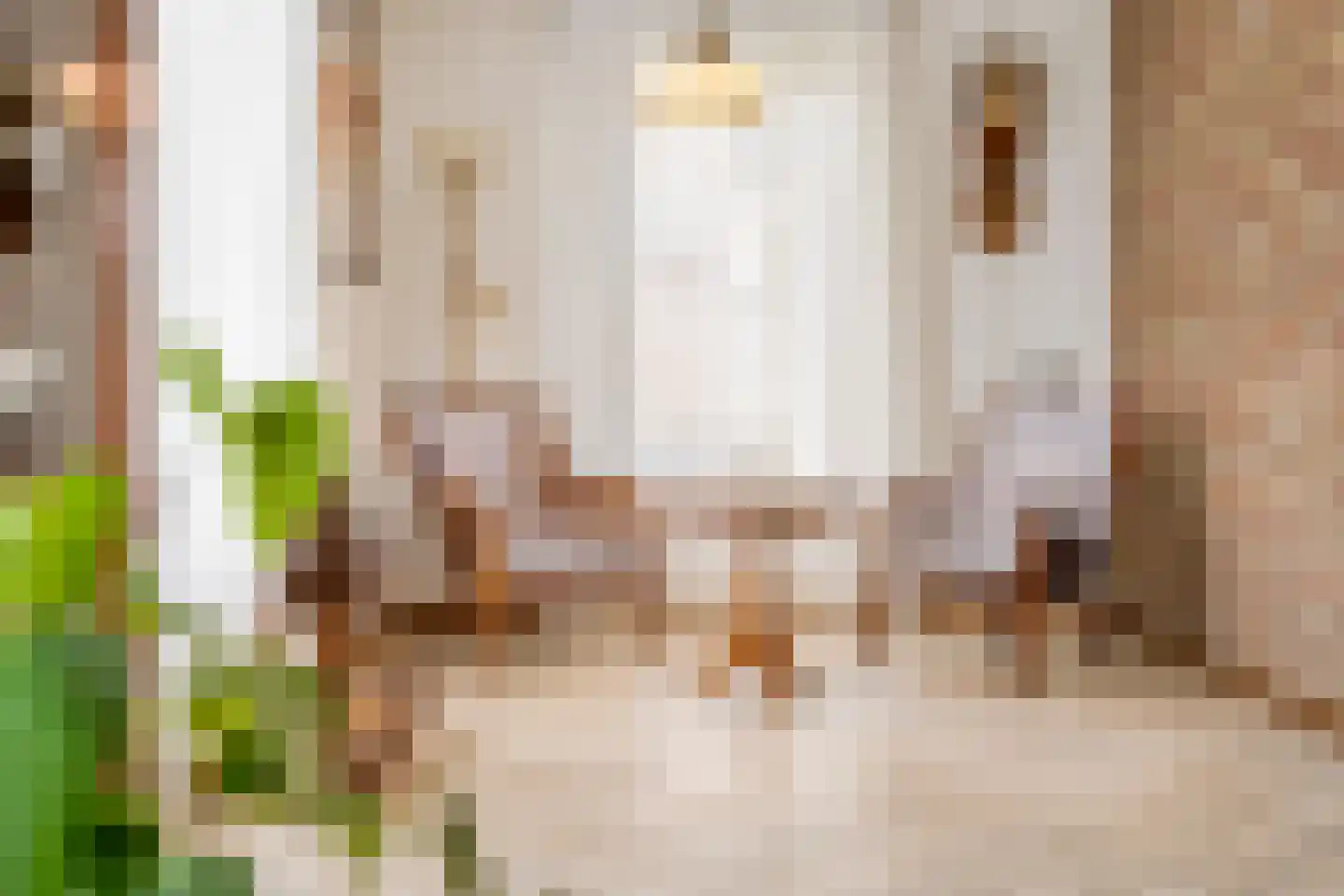 Schoolhuisweg 10 Veghel thumbnail 15