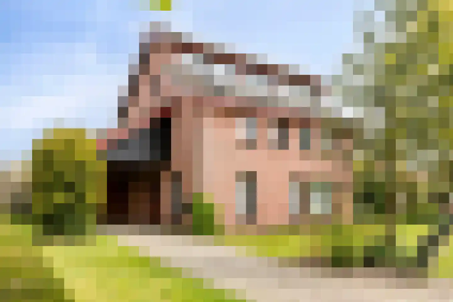 Schoolhuisweg 10 Veghel thumbnail 5