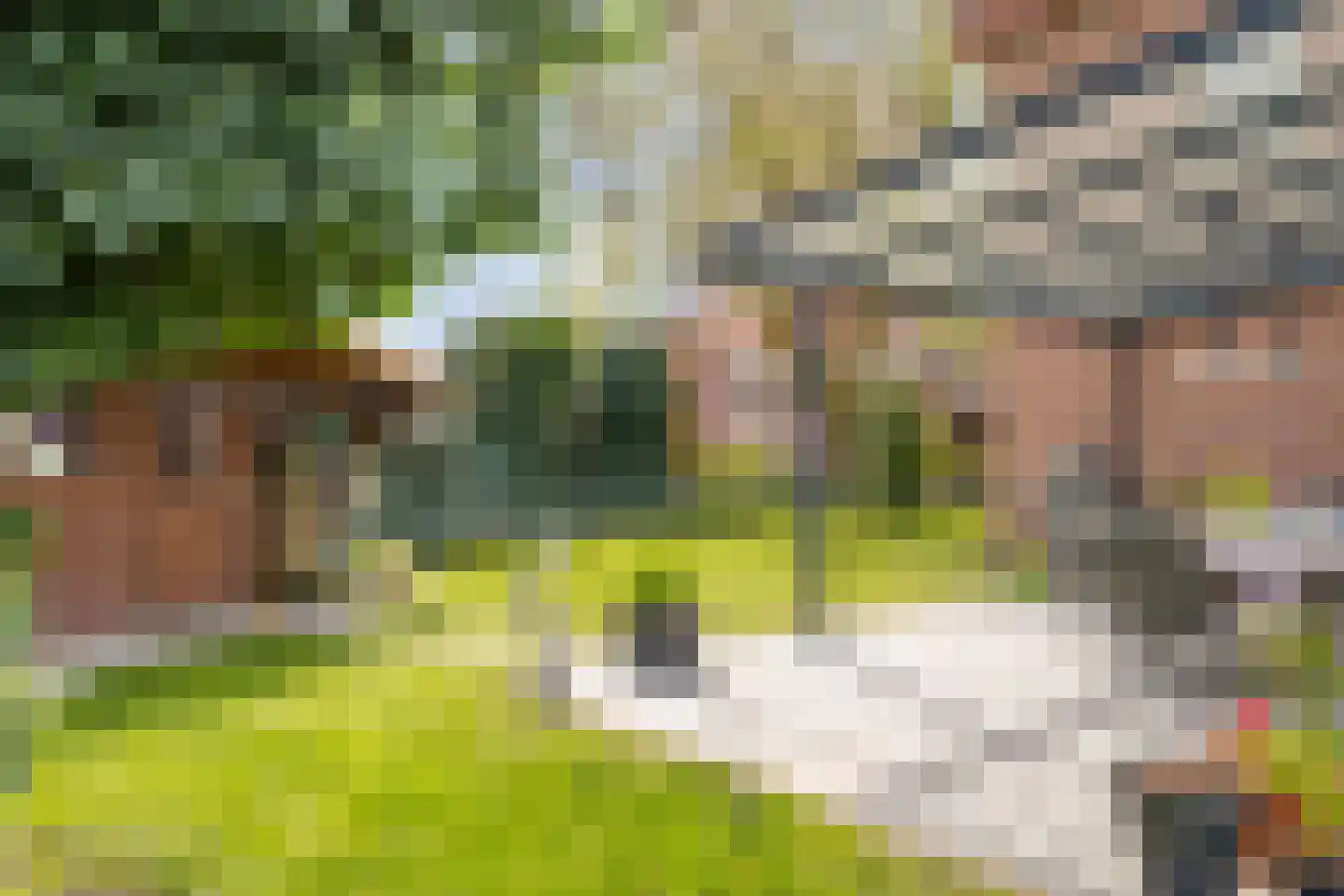 Schoolhuisweg 10 Veghel thumbnail 58