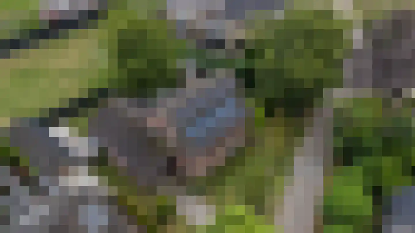 Schoolhuisweg 10 Veghel thumbnail 6